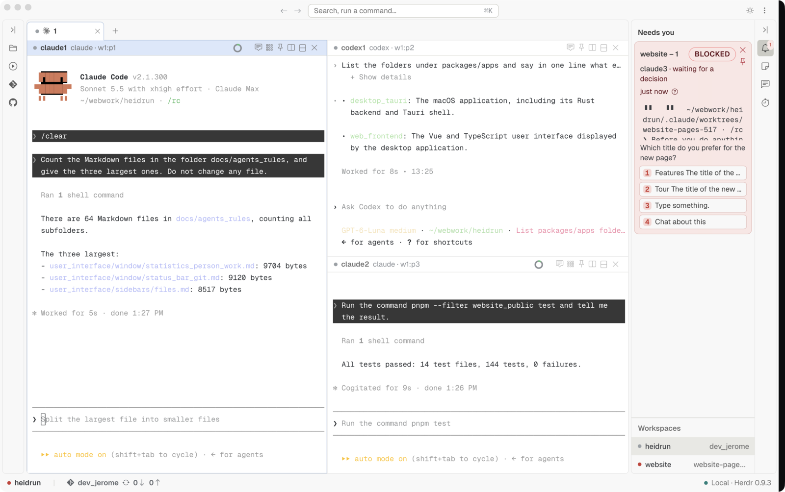 The Heidrun Code window with three panes in one tab: Claude Code on the left, Codex at the top right, and a second Claude Code under Codex. The Needs you sidebar section is on the right.