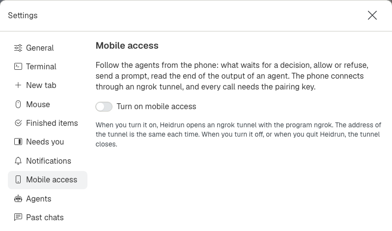 The section "Mobile access" of the Settings window before the phone access is on: the switch "Turn on mobile access", and the note about the ngrok tunnel.